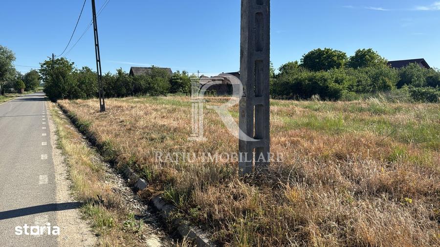 Spațiu comercial, de 1,800 mp, în Sântandrei