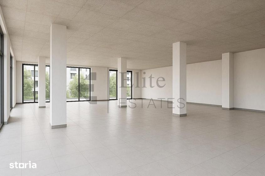 Spațiu comercial, de 235 mp, în Băile Felix