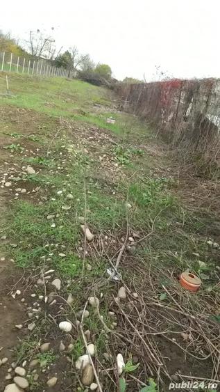 Teren de 440 mp, în Bereasca
