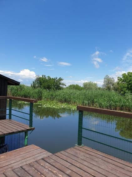 Casă individuală cu 6 camere cu Piscina în Snagov