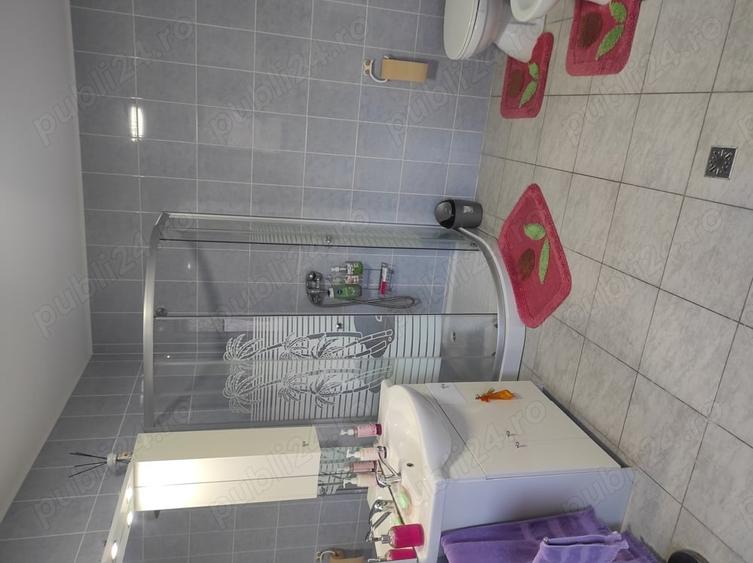 Casă cu 2 camere în Bănești
