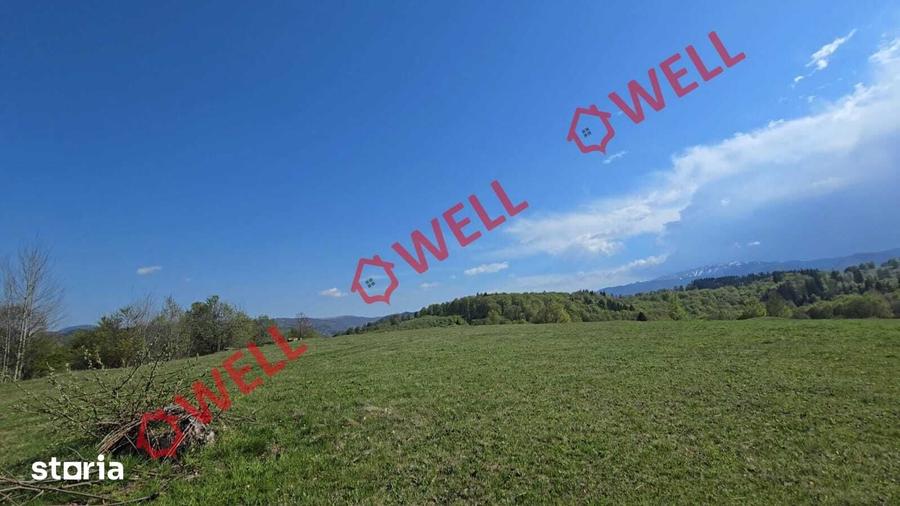 Teren de 2702 mp, în Vama Buzăului