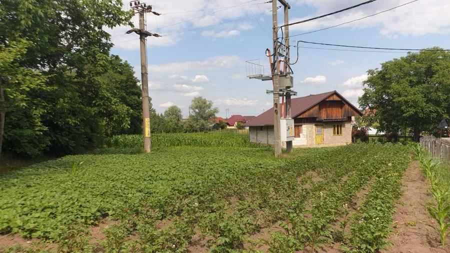 Casă cu 3 camere cu Teren 3600 Mp în Fântâna Mare