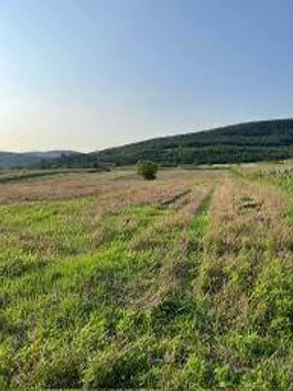 Teren Construcții intravilan de 1200 mp, în Fughiu