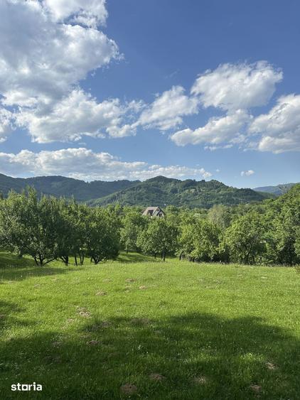 Teren de 10000 mp, în Șotrile