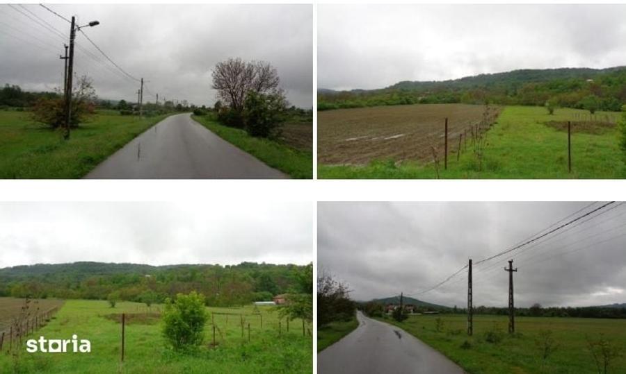 Teren de 3322 mp, în Stâlpeni