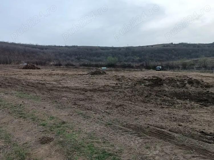 Teren de 5000 mp, în Central