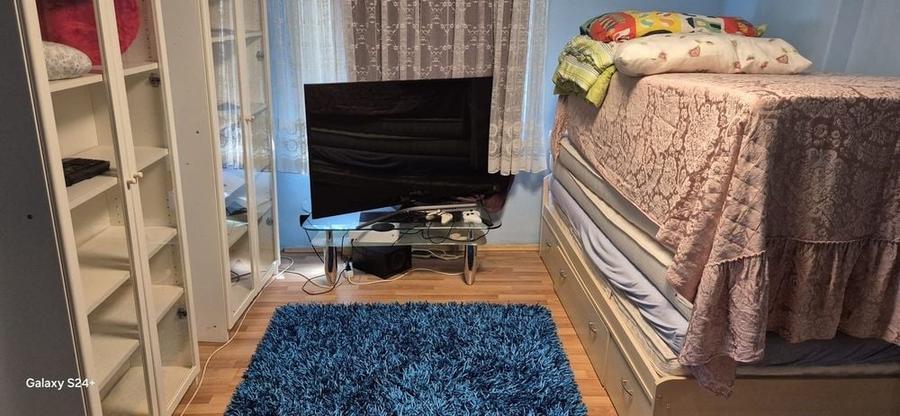 Casă cu 3 camere în Jabenița