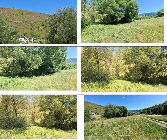 Teren 5000 mp, Loc. Sieu, Jud Maramures - 3
