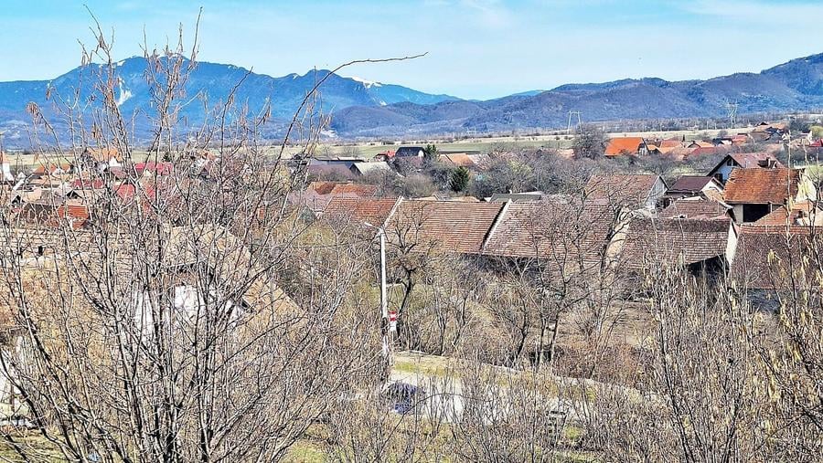 Teren Construcții extravilan de 17000 mp, în Tohanu Nou