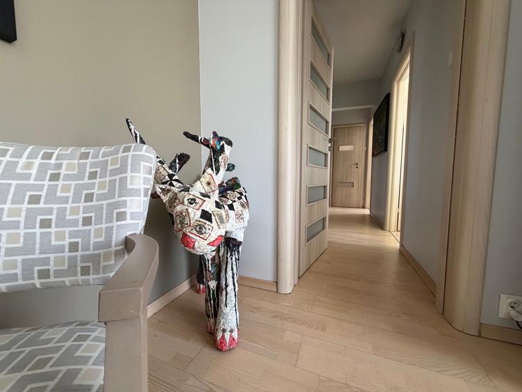 Apartament 3 camere METROU Iancului - 3