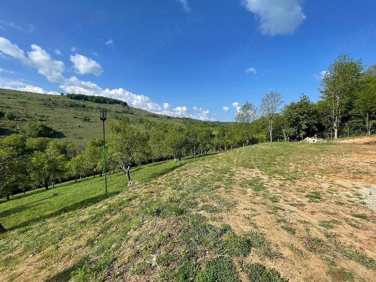 Casă cu Teren 15000 Mp în Bătrâna