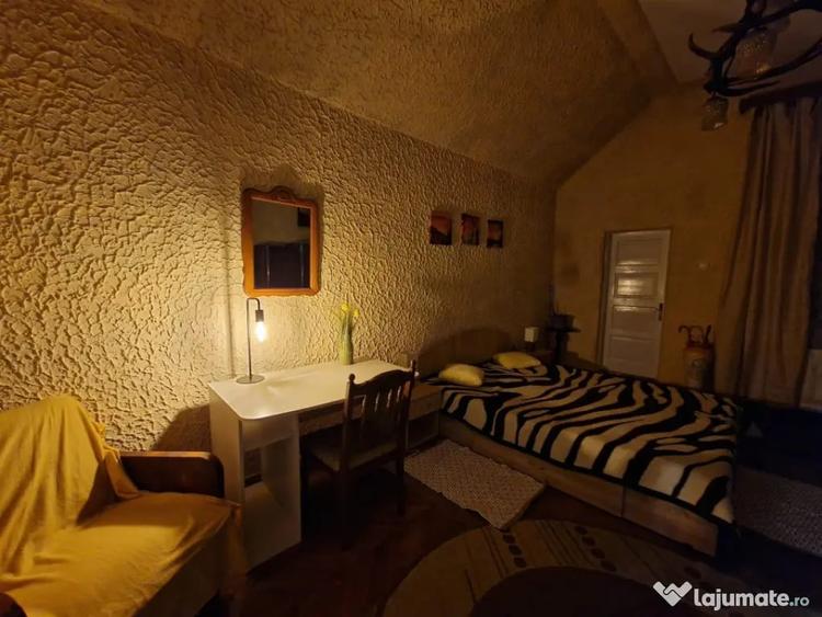 Apartament cu 2 camere semidecomandat în Ultracentral