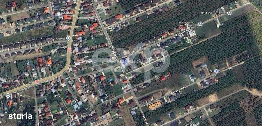 Teren 1.500 mp de vanzare in Trivale Platou Strada Prunilor, Pites