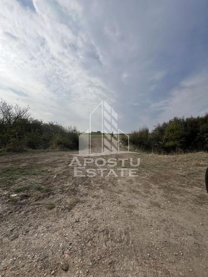 DE VANZARE – Teren 758 mp, zona Metro 2 – cu potential excelent de dez - 1
