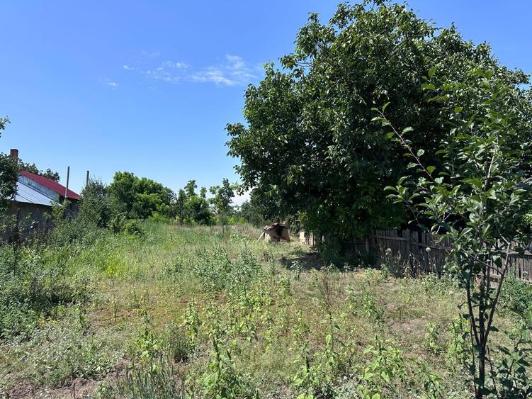 Casă cu 3 camere în Luciu