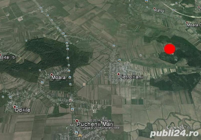 Teren de 30000 mp, în Sud