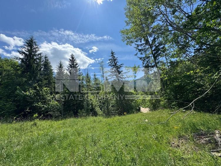 Teren extravilan de 23520 mp, în Periferie