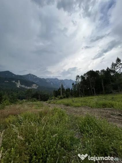 Teren în Nord