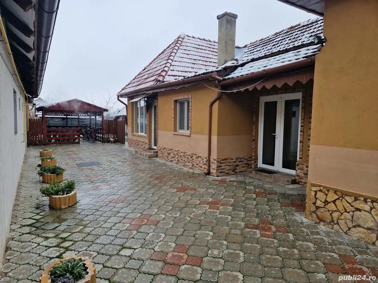 Casa de vanzare nadlac - 9