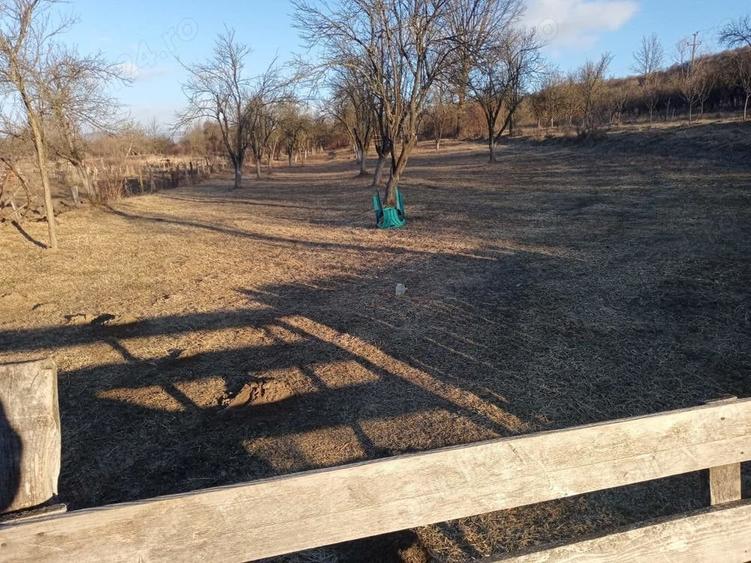 Teren de 4700 mp, în Vâlsănești