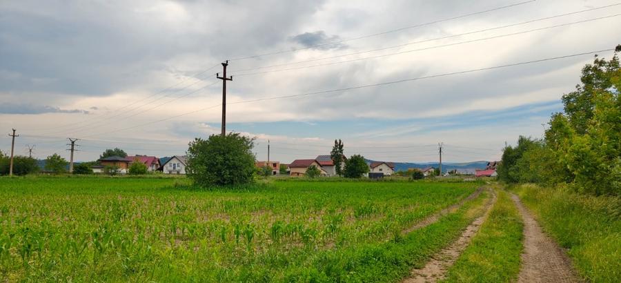 Teren cu sura in spatele caselor de pe str Andrei Saguna - 4