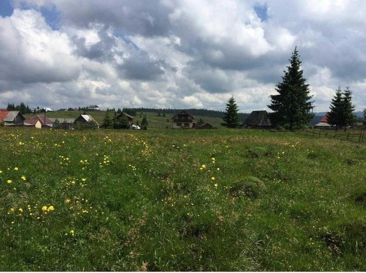 Teren de 1000 mp, în Bălcești (Beliș)