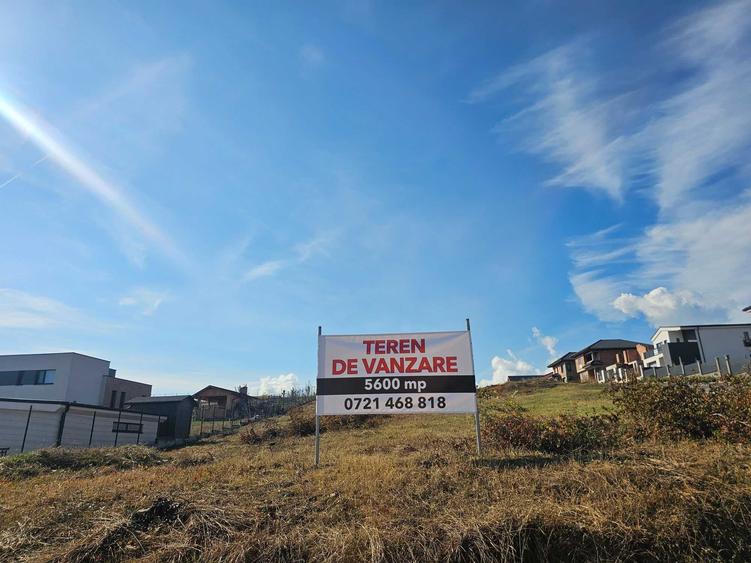 Spațiu comercial, în Dezmir