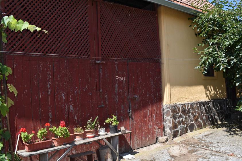Vand casa, anexe gospodaresti si gradina