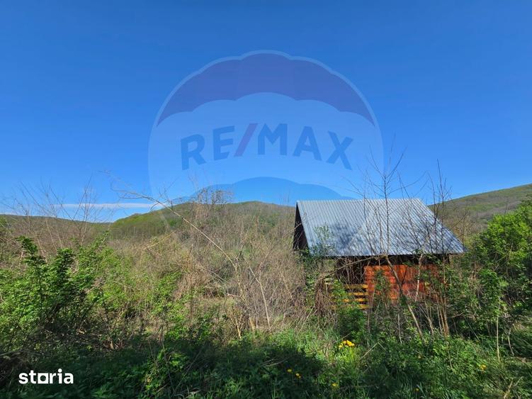 Teren de 3350 mp, în Moldovenești
