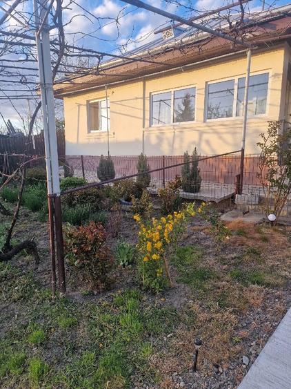 Casă cu 3 camere cu Teren 1352 Mp în Horia
