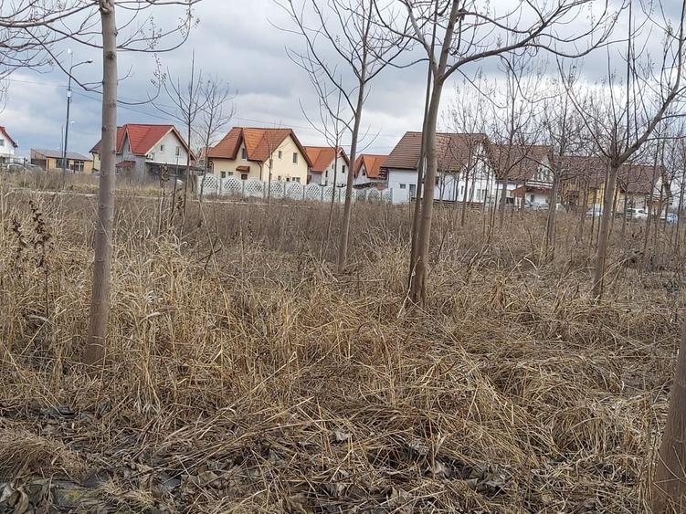 Teren Construcții intravilan de 275 mp, în Sud