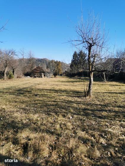 Teren de 1955 mp, în Fronescu