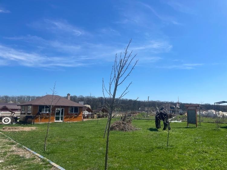 Teren Construcții intravilan de 800 mp, în Runcu