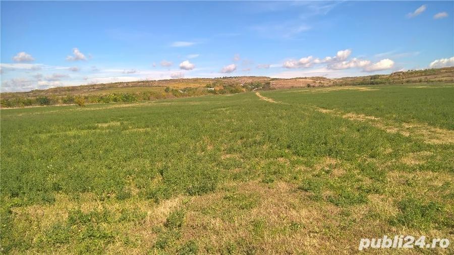 Teren de 39500 mp, în Valea Călugărească
