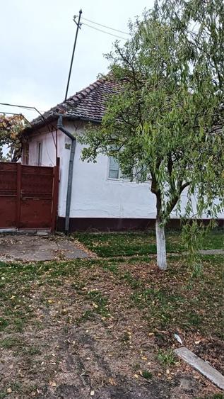 Casă cu 4 camere în Berechiu