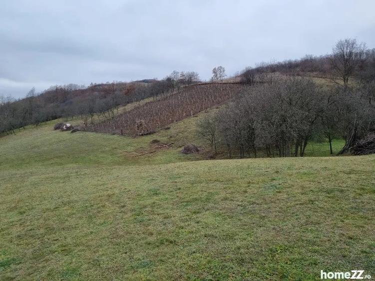 Teren în Orbău
