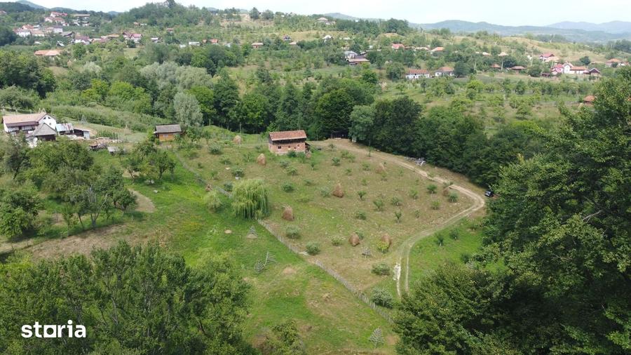 Teren de 6200 mp, în Cicănești