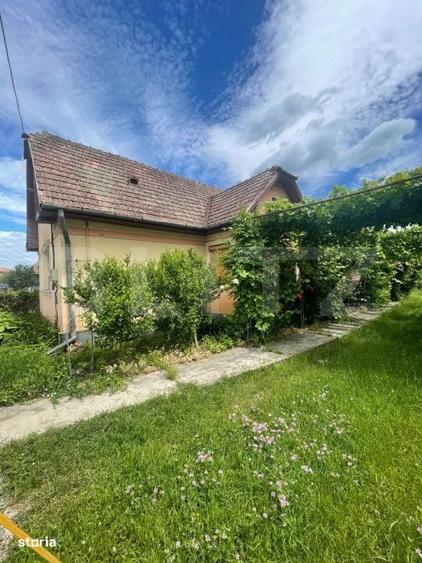 Casă cu 3 camere cu Teren 2000 Mp în Viișoara
