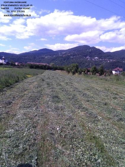 Teren de 3400 mp, în Alexandru cel Bun