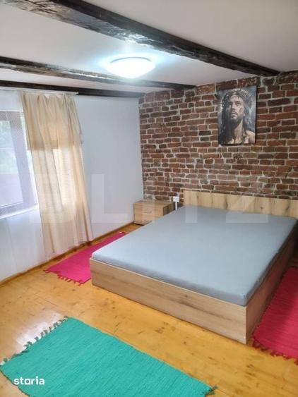 Casă cu 5 camere cu Teren 48000 Mp în Vărădia de Mureș