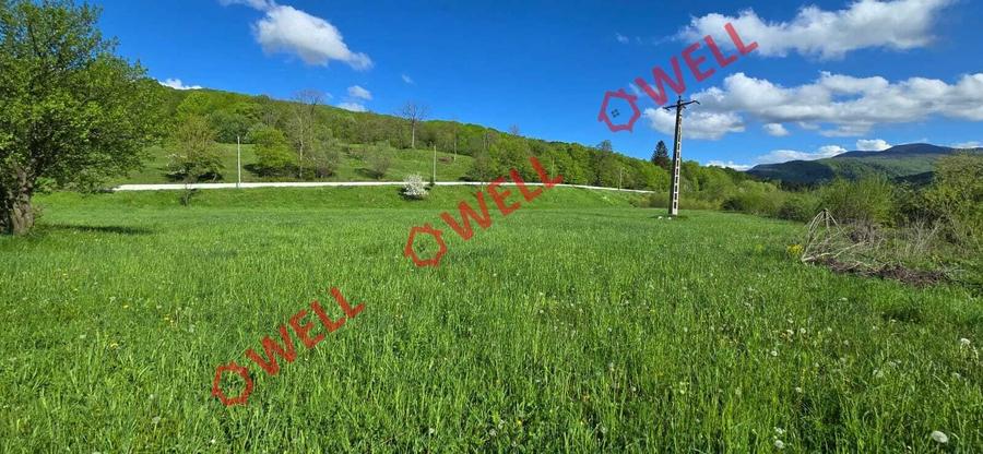 Teren extravilan de 6500 mp, în Zăbrătău