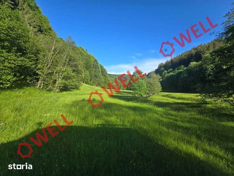 Teren de 57000 mp, în Vama Buzăului