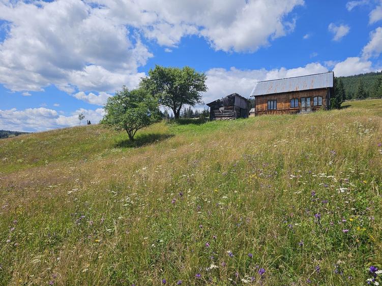 Teren de vanzare extravilan in Bucovina zona Breaza - 2