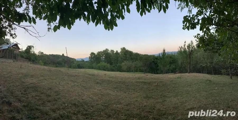 Teren de 7.5 mp, în Homorâciu