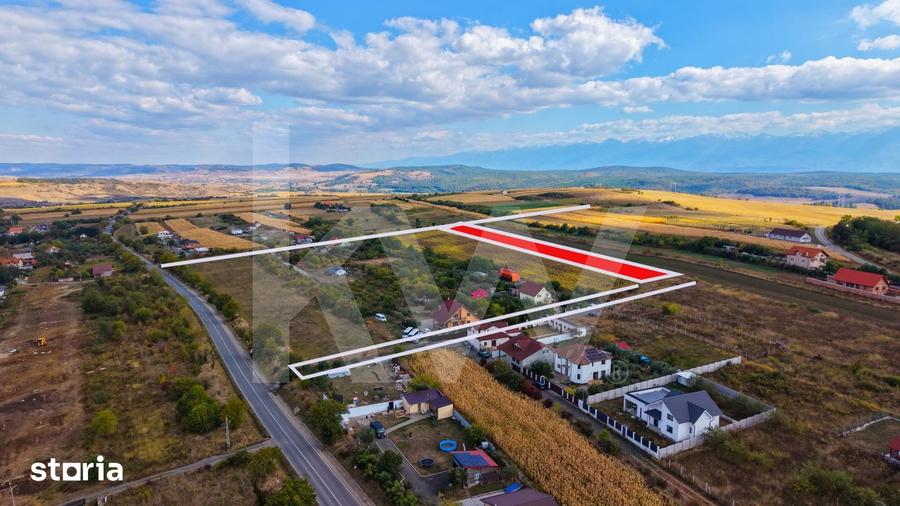 Teren de 5000 mp, în Câineni