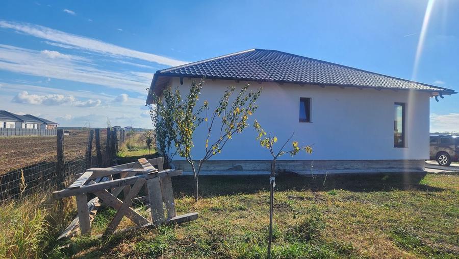 Casă cu 3 camere în Radu Negru