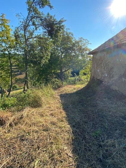 Casă cu 2 camere cu Teren 3100 Mp în Certeju de Sus