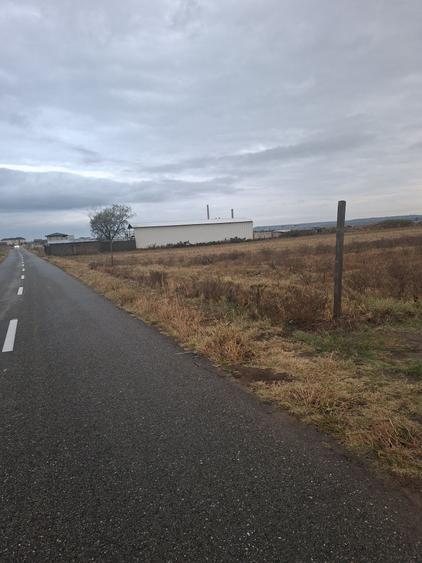 Spațiu comercial, în Ișalnița