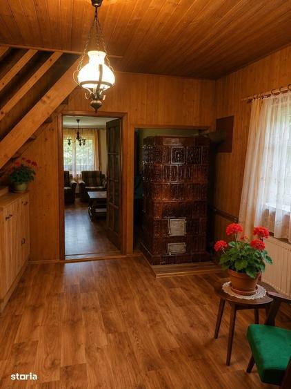 Casa de vacanta in Campu Cetatii,teren 2.400 mp, langa rau si padure - 4